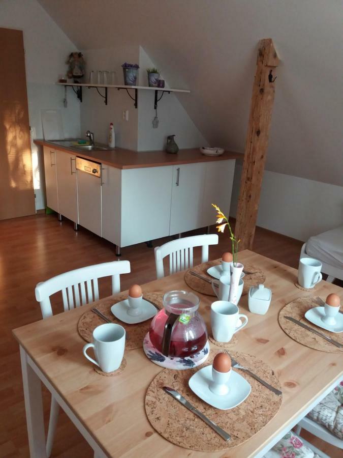Apartmany F-M Frýdek-Místek المظهر الخارجي الصورة